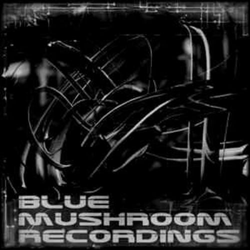 Blue Mushroom Recordings Profile