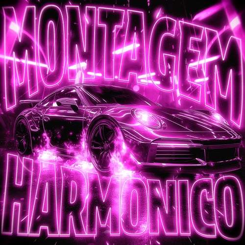 MONTAGEM HARMONICO