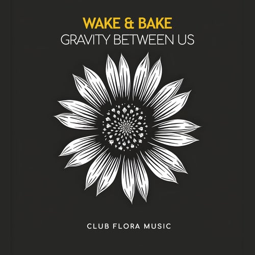 Gravity Between Us