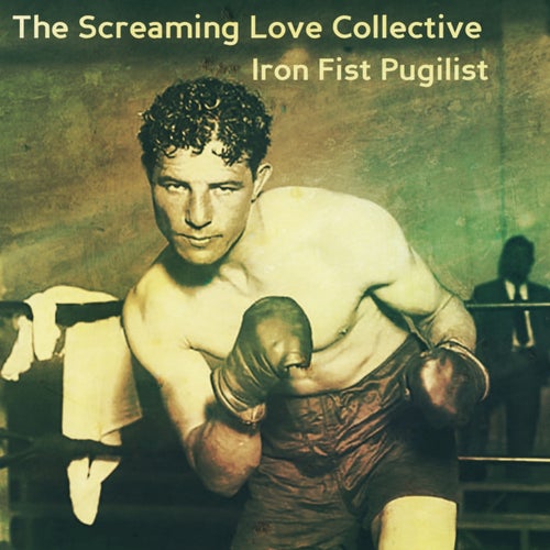 Iron Fist Pugilist