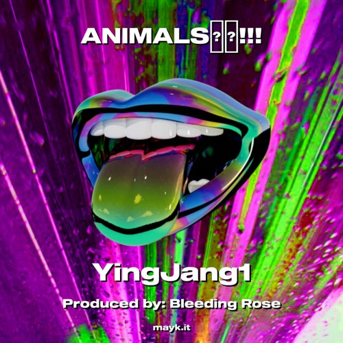 ANIMALS!!!
