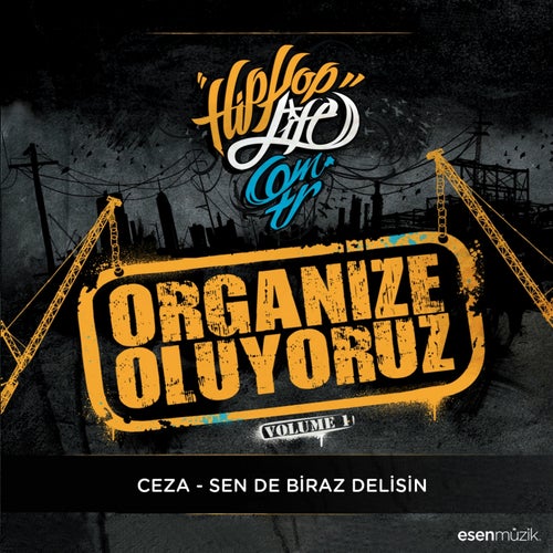 Sen De Biraz Delisin (Organize Oluyoruz Vol. 1)