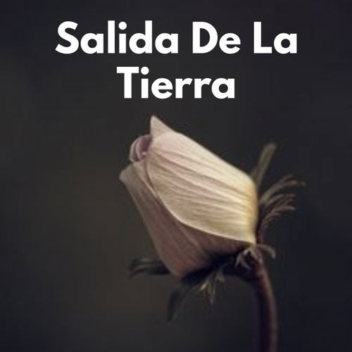 Salida De La Tierra