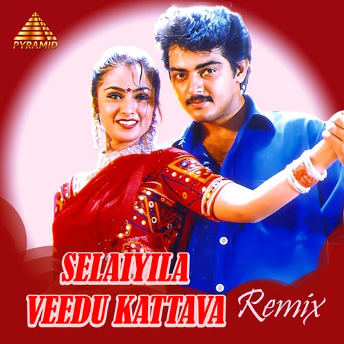Selaiyila Veedu Kattava - Remix