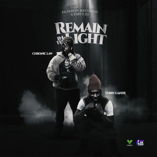 Remain in the Light