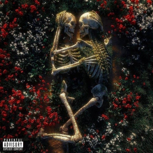 Release of the week