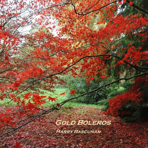 Gold Boleros