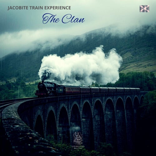 Jacobite Train Experience