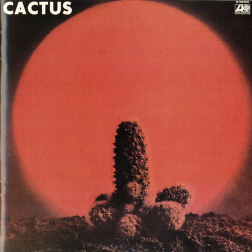 Cactus