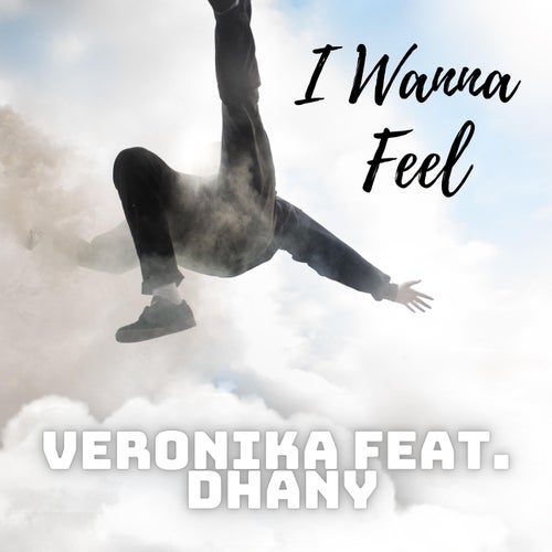 I Wanna Feel (feat. Dhany)