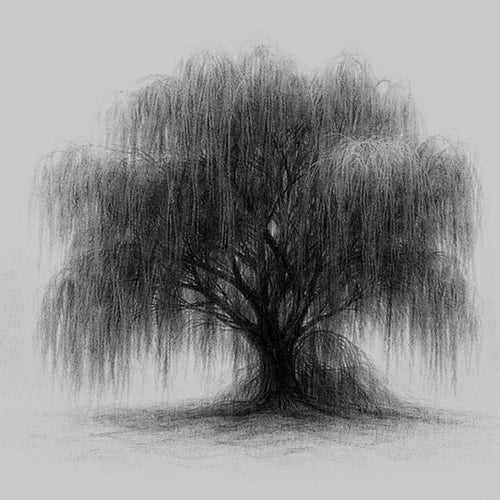 WILLOW