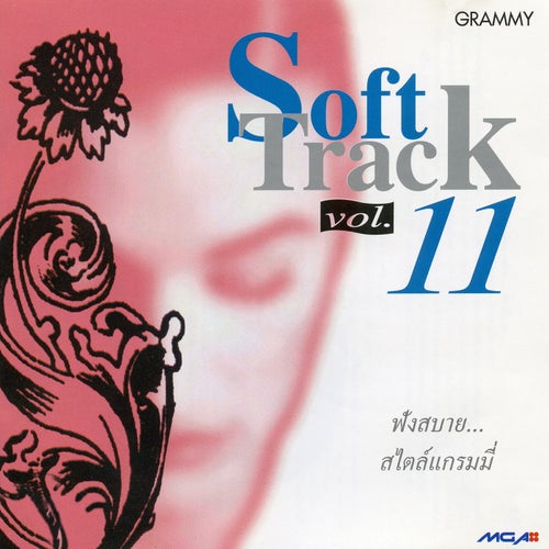 Soft Track, Vol. 11