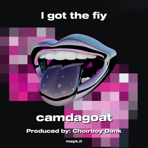 I got the fiy