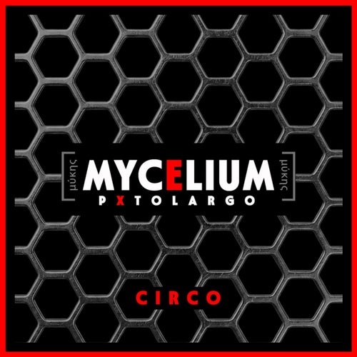Circo