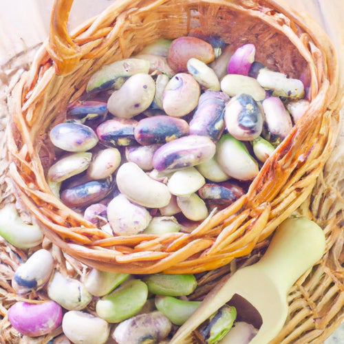 Beans
