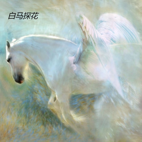 白马探花