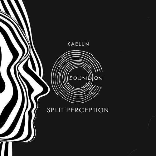 Split Perception