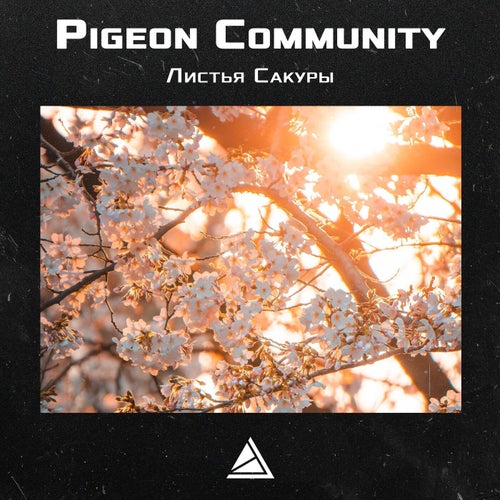 Листья Сакуры