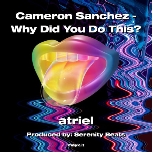 Cameron Sanchez - Why Did You Do This?