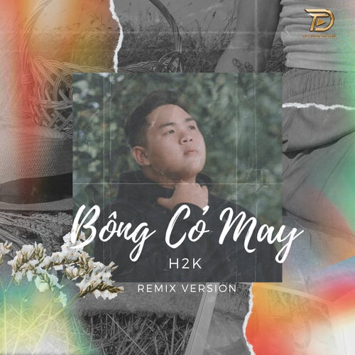 Bông Cỏ May