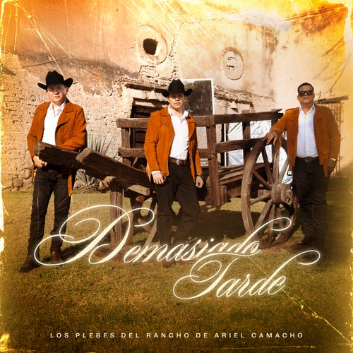 Demasiado Tarde