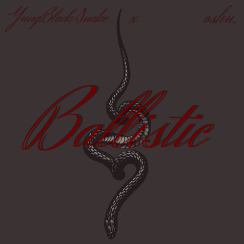 Ballistic