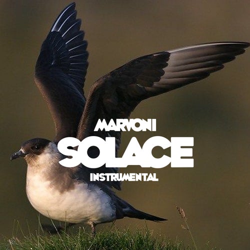 Solace instrumental
