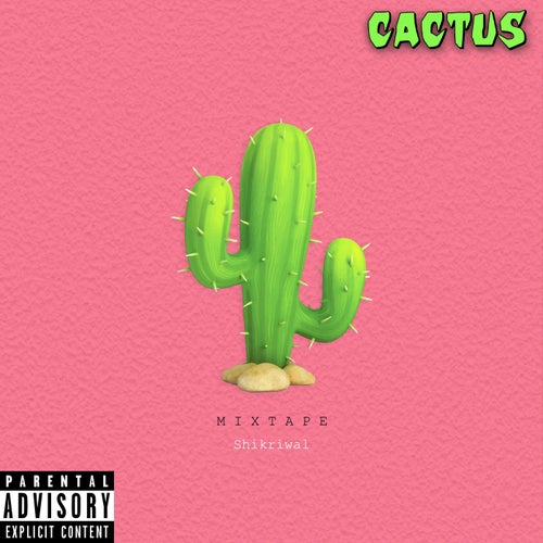 Cactus