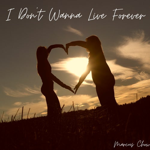 I Don't Wanna Live Forever