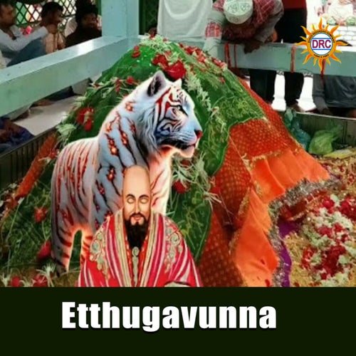 Etthugavunna