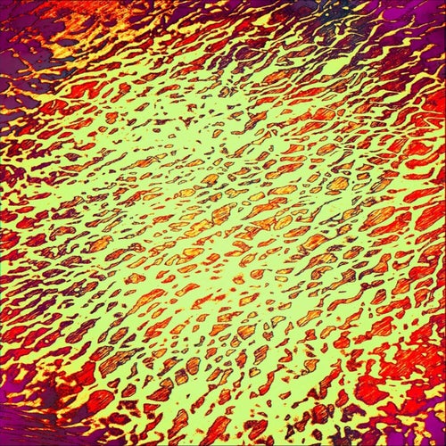 Filterbank Feedback Works, Vol. 2