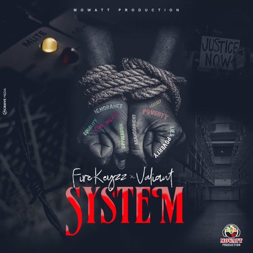 System