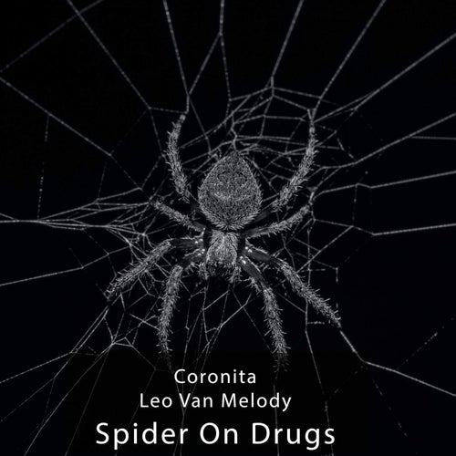 Spiders On Drugs
