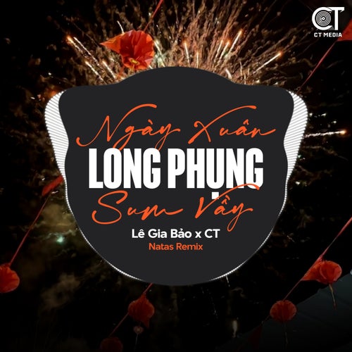 Ngày Xuân Long Phụng Sum Vầy - EDM Remix