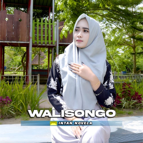 Wali Songo