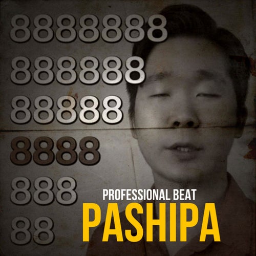 Pashipa