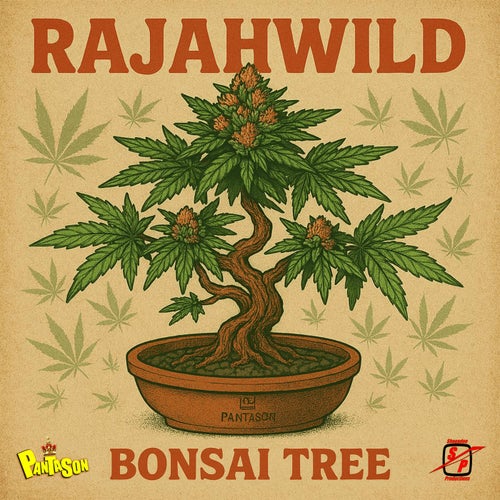 Bonsai Tree