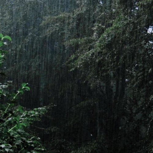 In The Rain