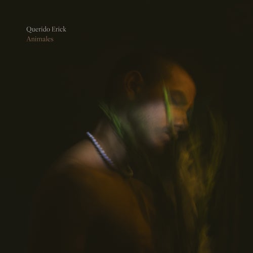 Release of the week