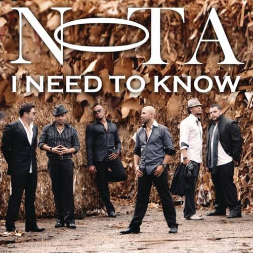 I Need To Know (Album Version)