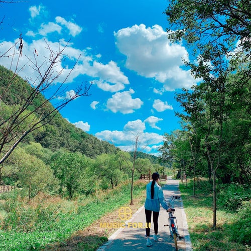 Did You See the Sky Today