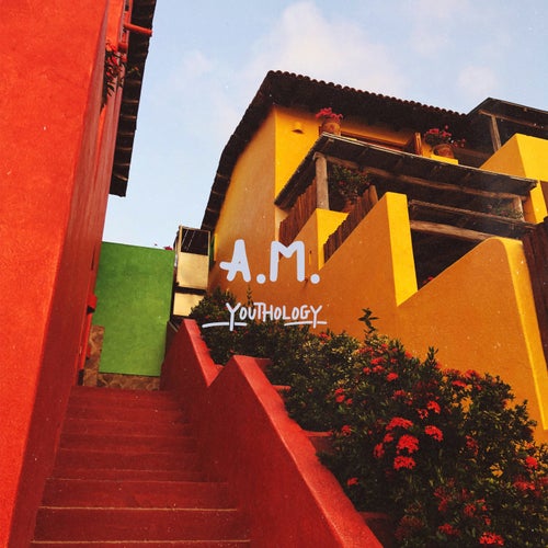 A.M.