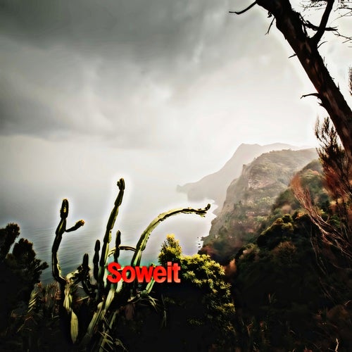Soweit