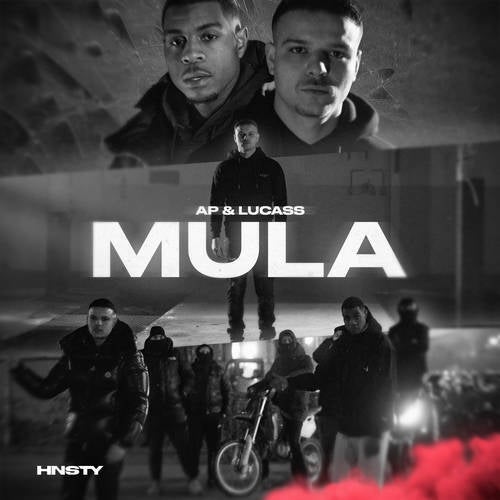 Mula