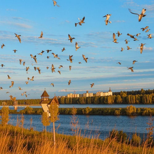 Wild URAL (НИЧЕ НЕ ВИДНО)