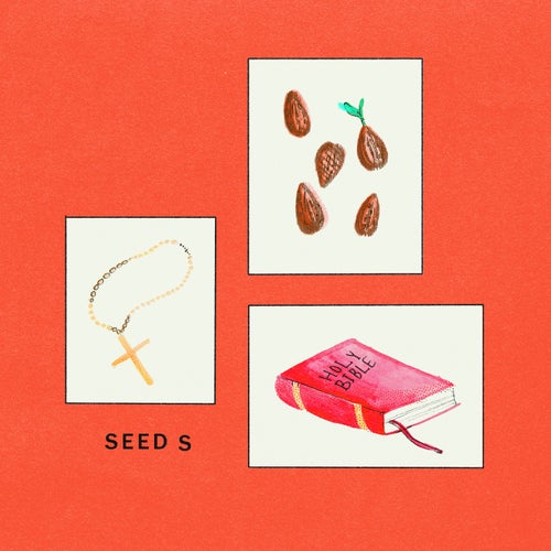 Seeds