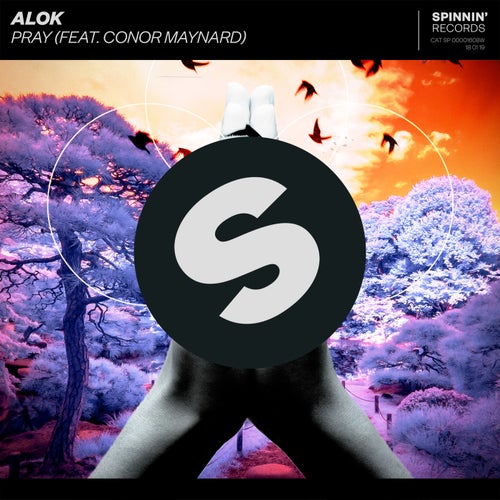 Pray (feat. Conor Maynard) (Extended Mix)