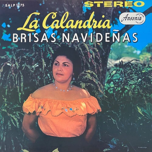 Brisas Navideñas