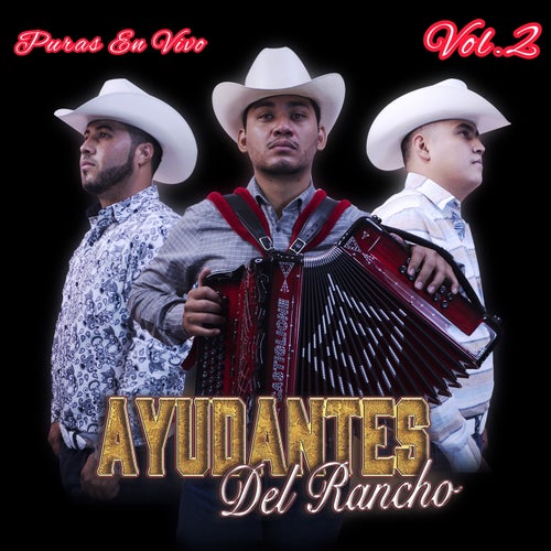 Puras En Vivo Vol. 2