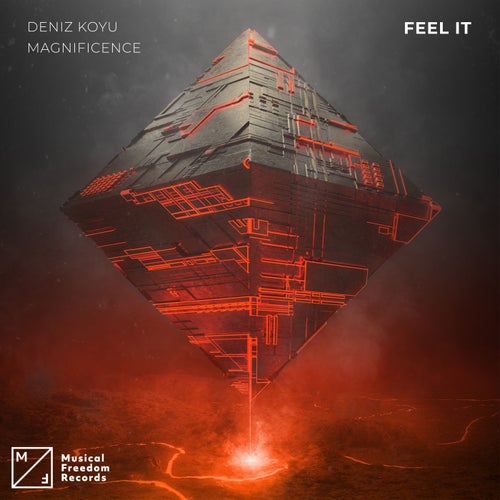 Feel It (Extended Mix)
